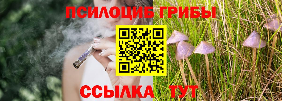 Галлюциногенные грибы Magic Shrooms  Псилоцибиновые грибы мицелий  Октябрьский  Вход с VPN 