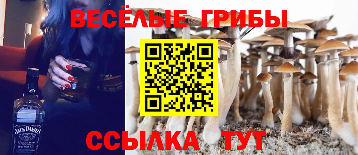 Галлюциногенные грибы мицелий Октябрьский
